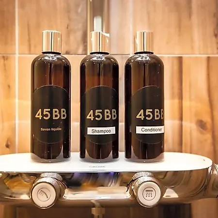 45bb فندق مبيت وإفطار 4*