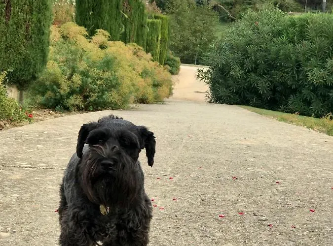 45bb Bed & Breakfast